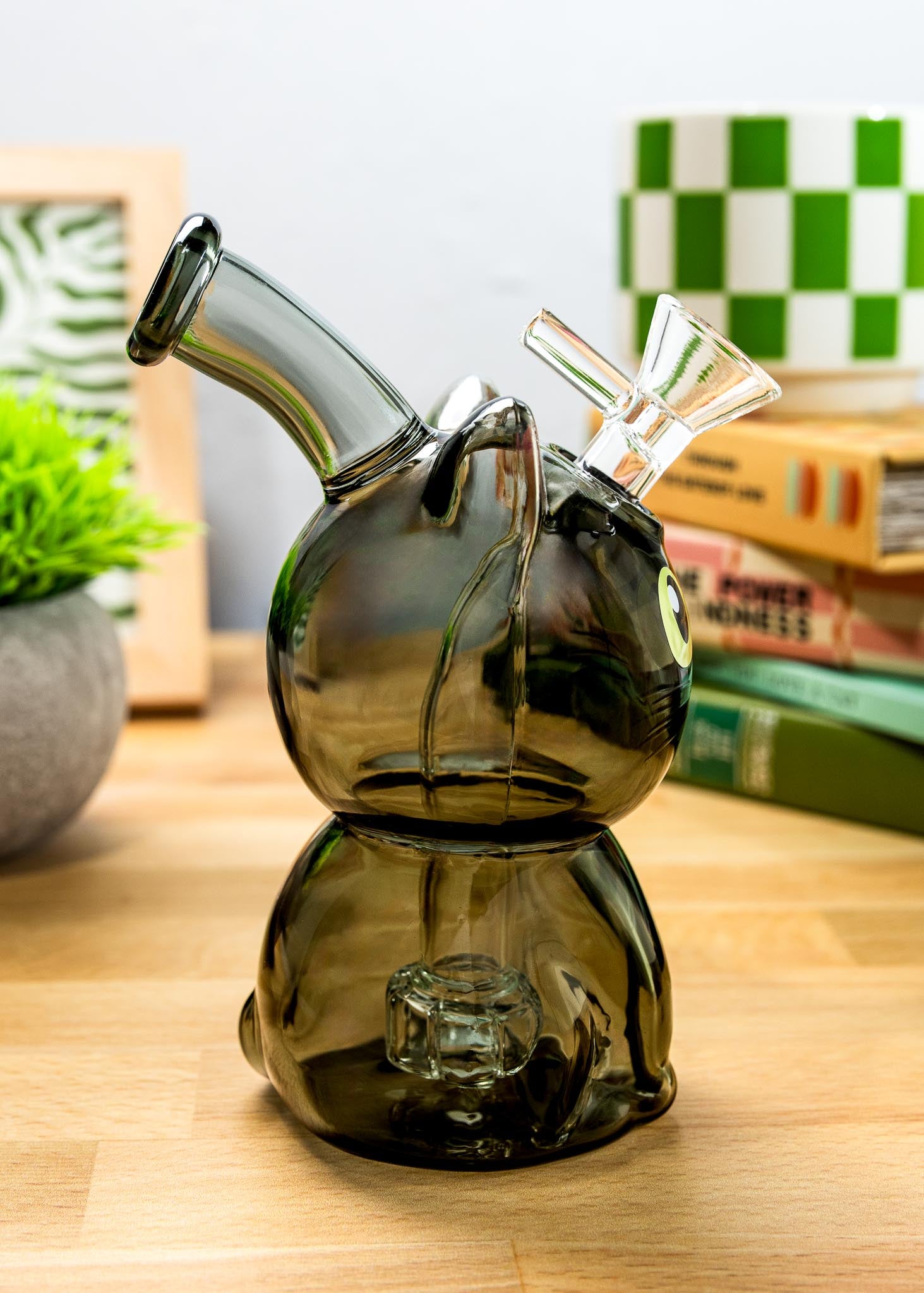 CAT BONG