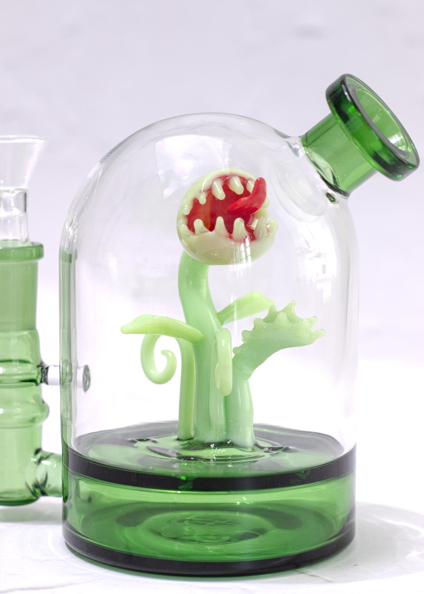 VENUS FLY TRAP CLOCHE BONG