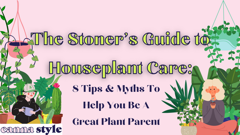 The Stoner’s Guide to Houseplant Care: 8 Tips & Myths to be a Great Plant Parent