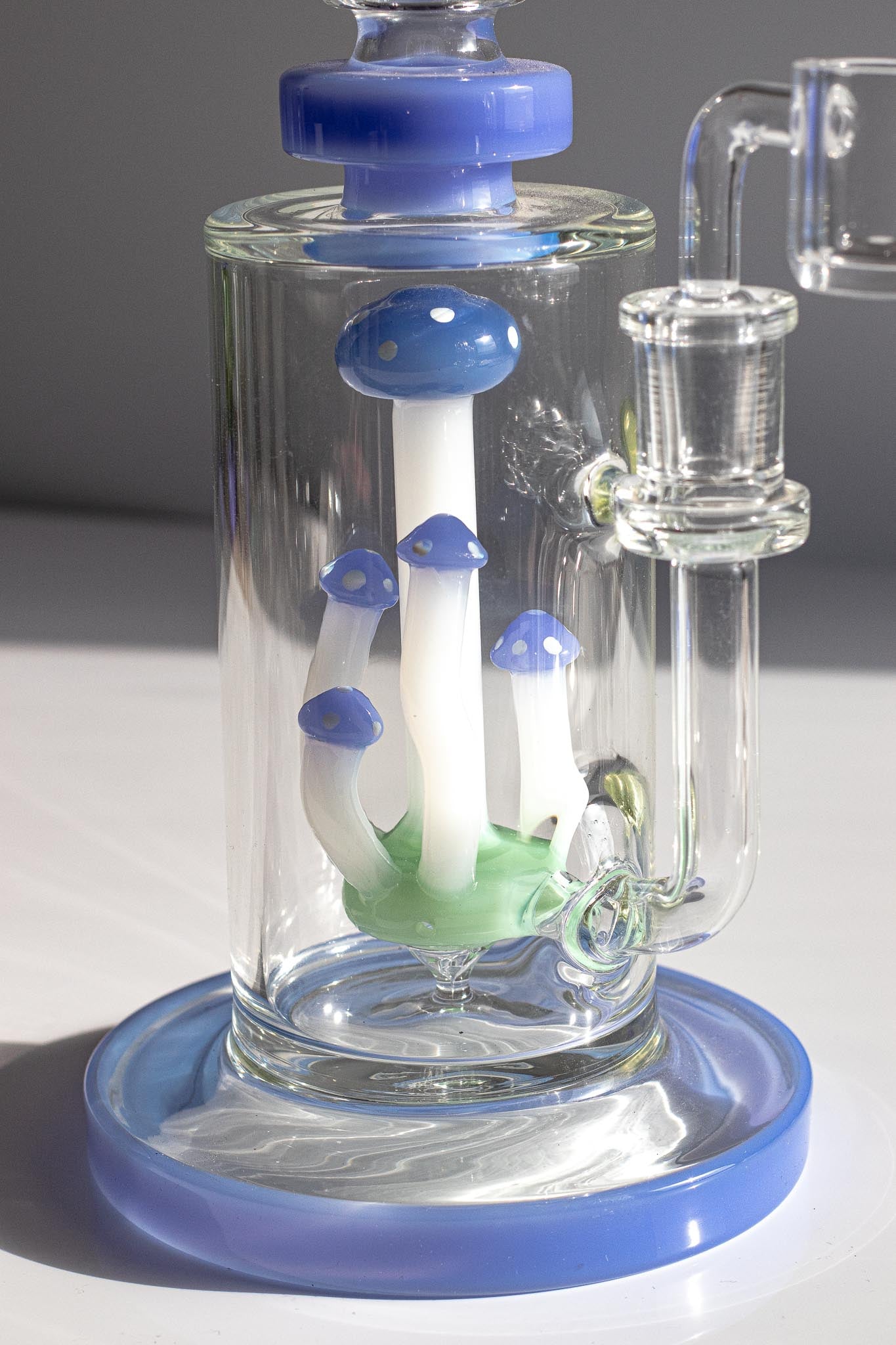 mushroom terrarium rig