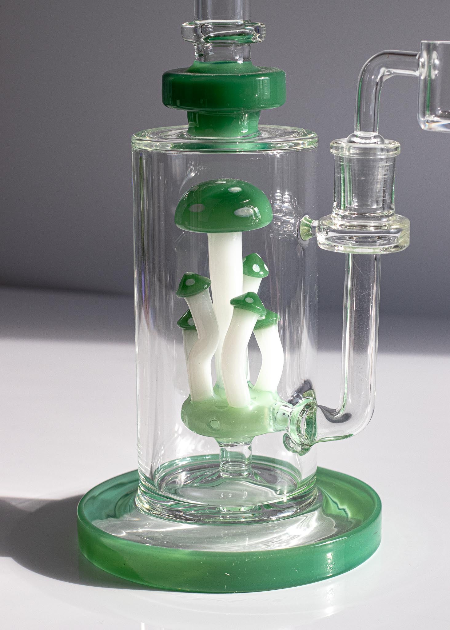 mushroom terranium rig
