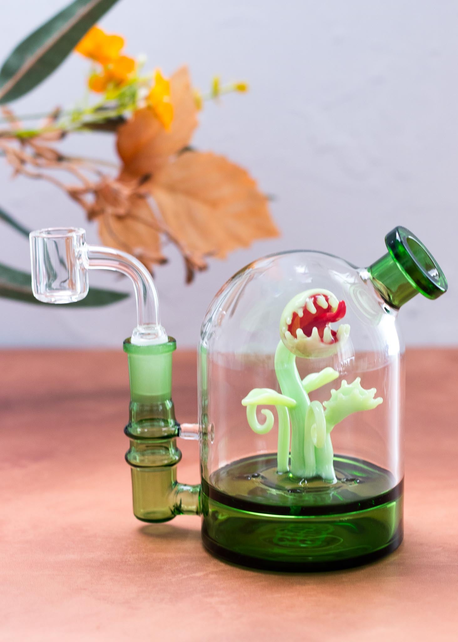 VENUS FLY TRAP CLOCHE RIG