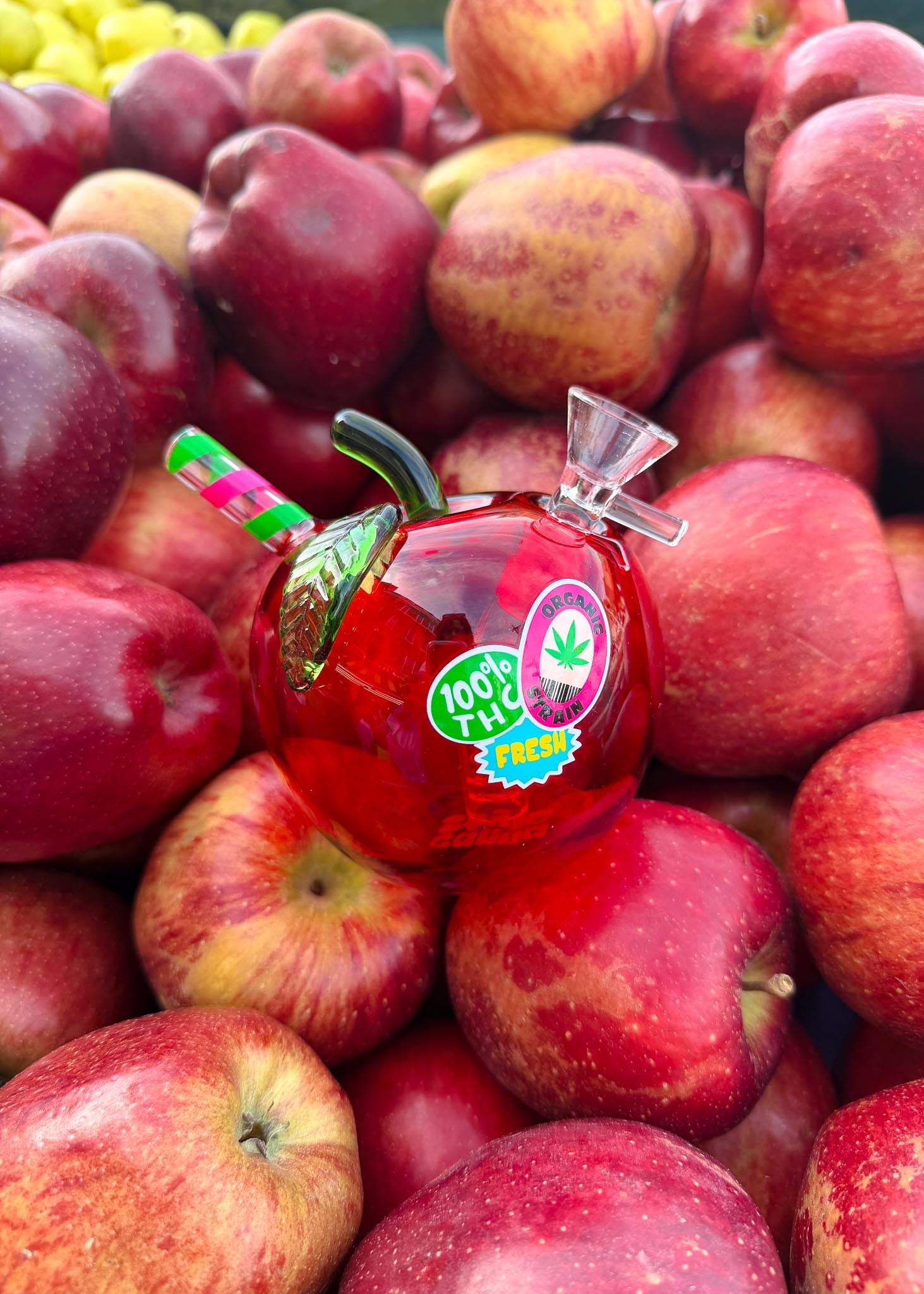 Apple - bong APPLE BONG