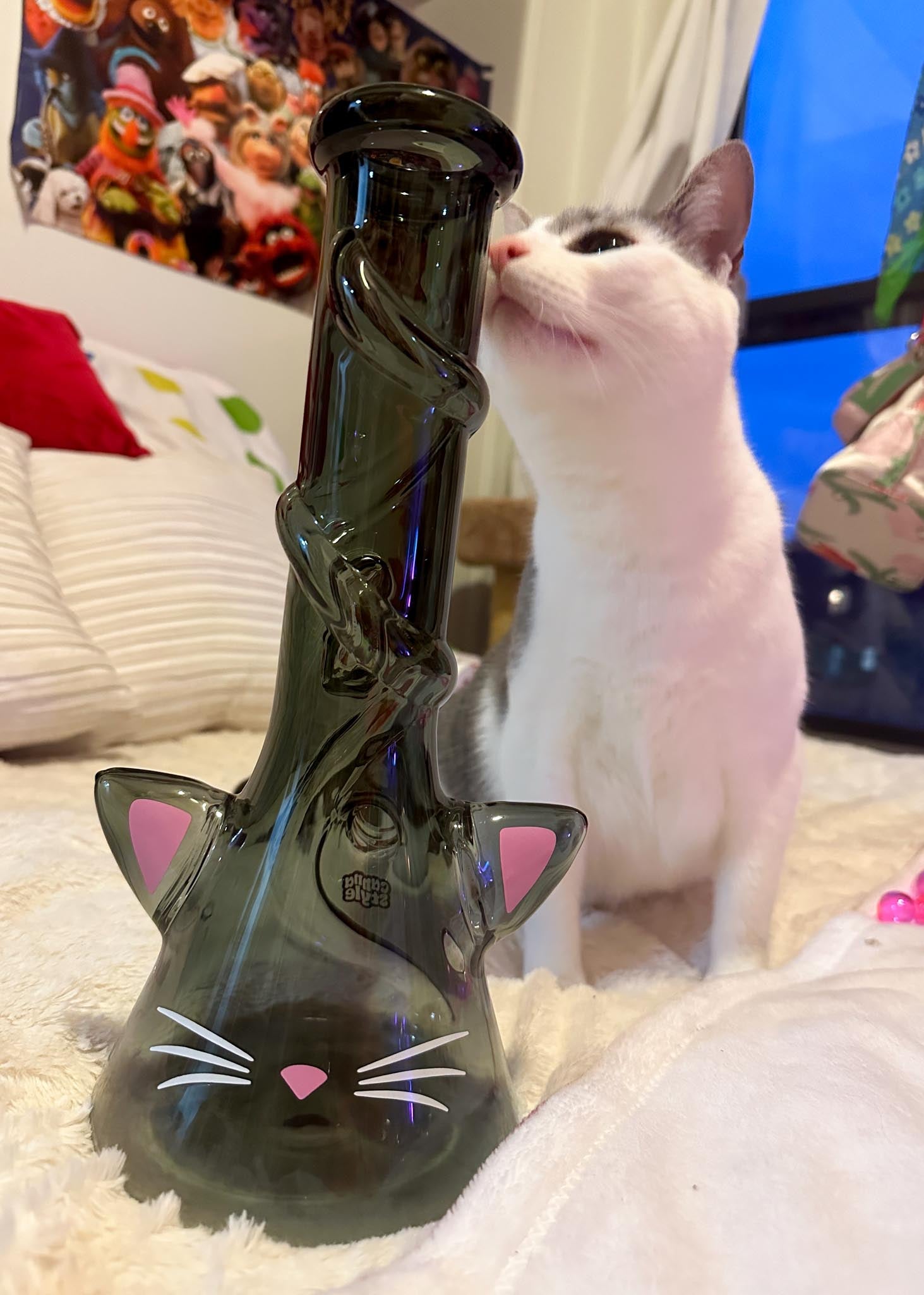 CAT BONG