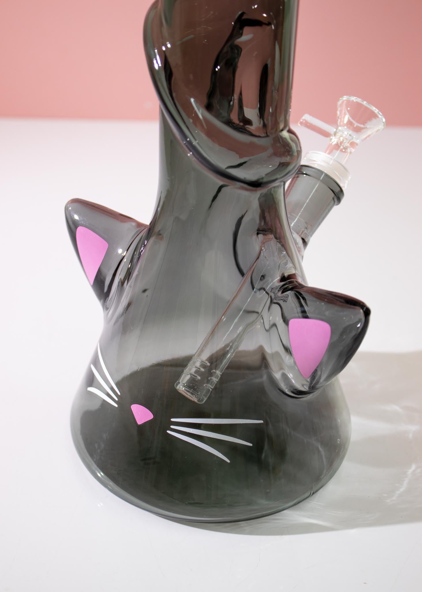 CAT BONG