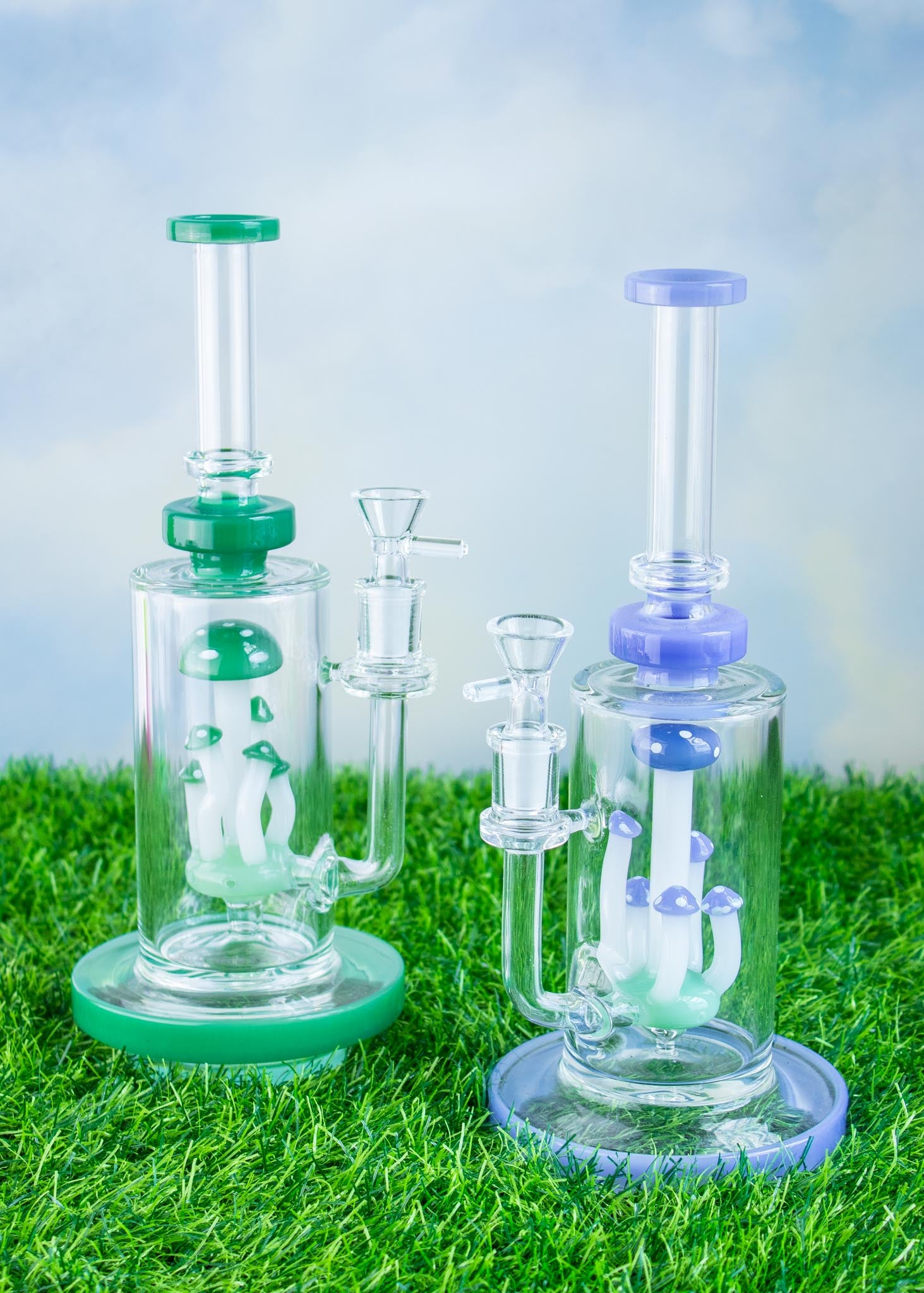 MUSHROOM TERRANIUM Bong or Rig