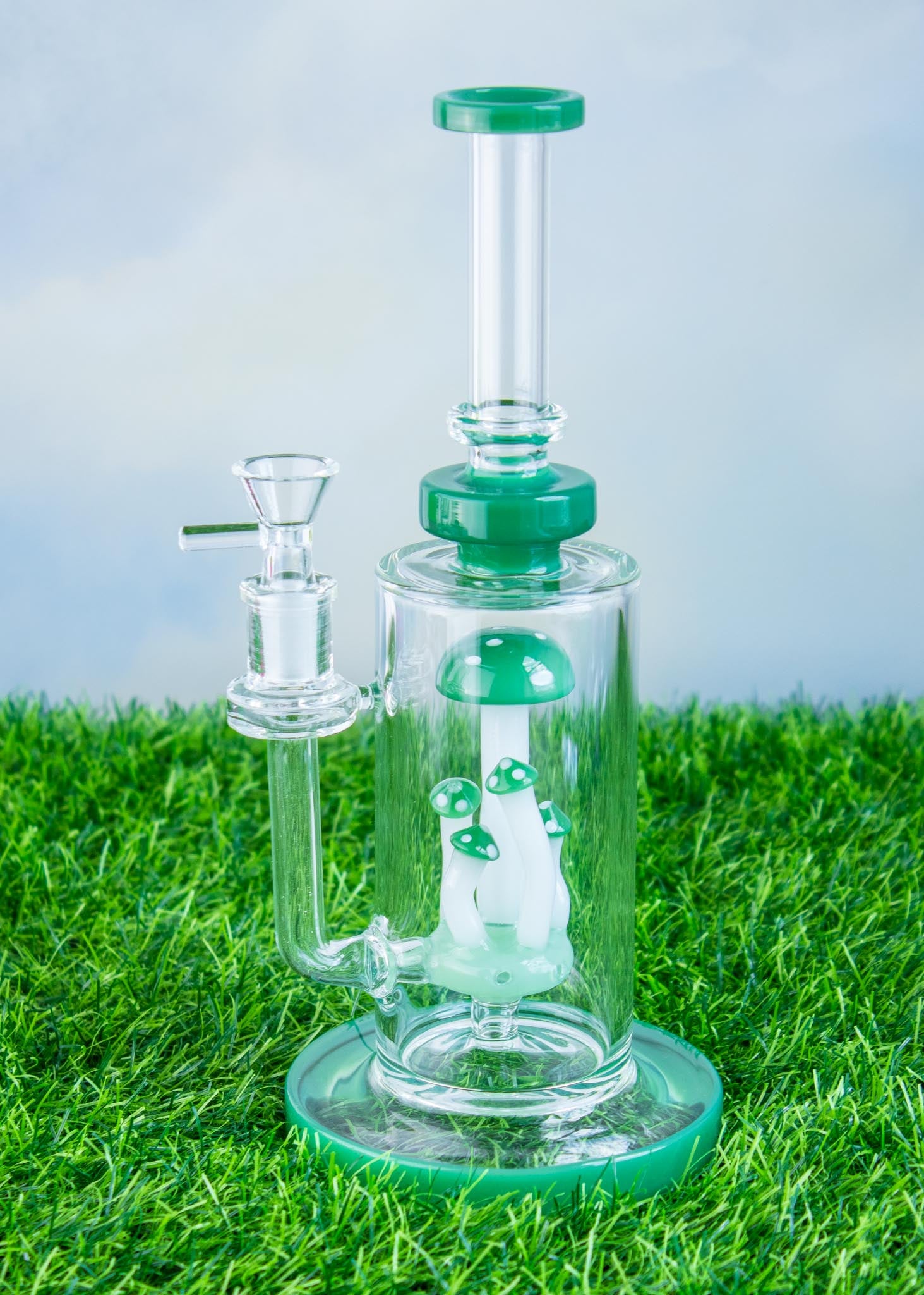 MUSHROOM TERRANIUM Bong or Rig