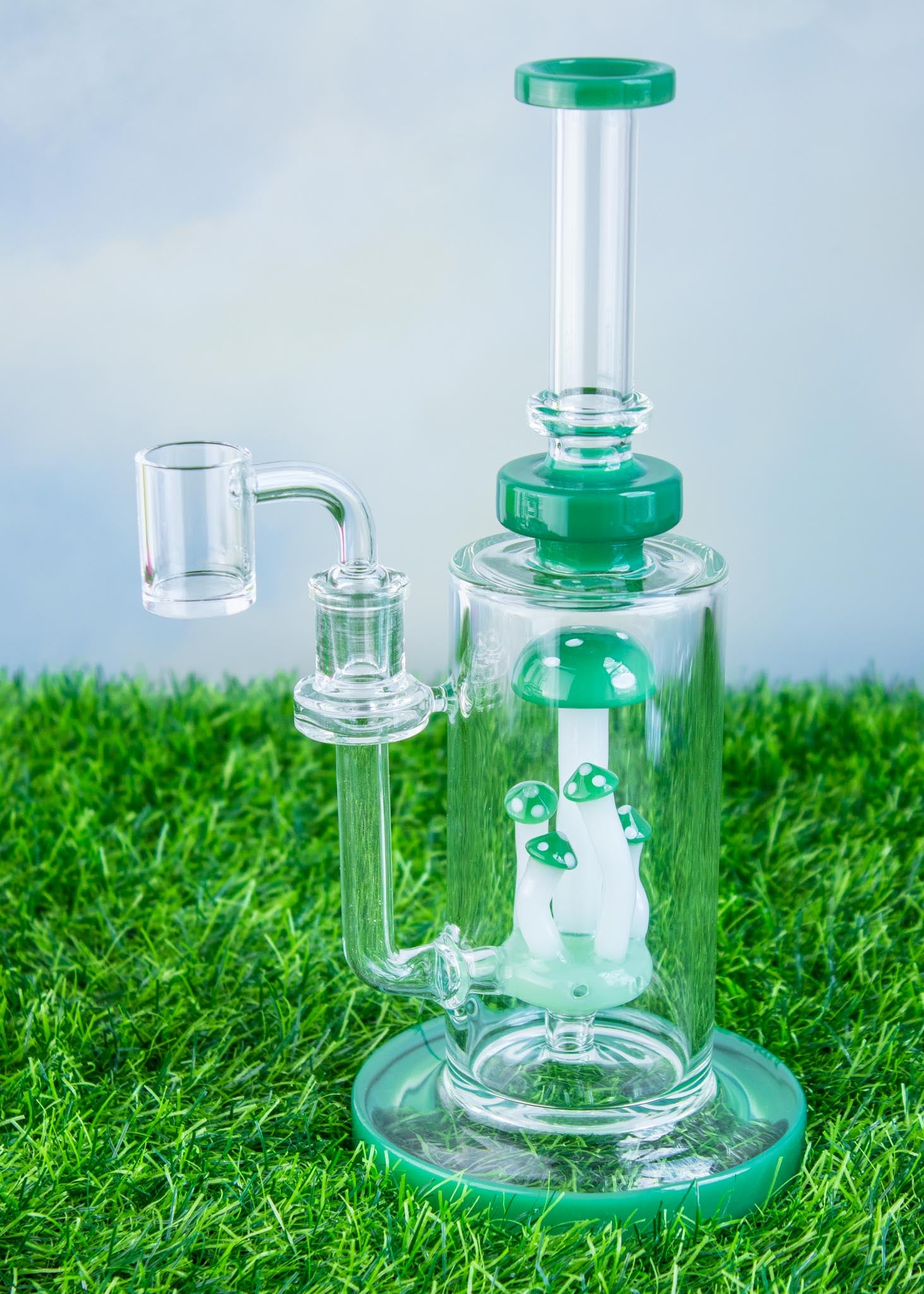 MUSHROOM TERRANIUM Bong or Rig