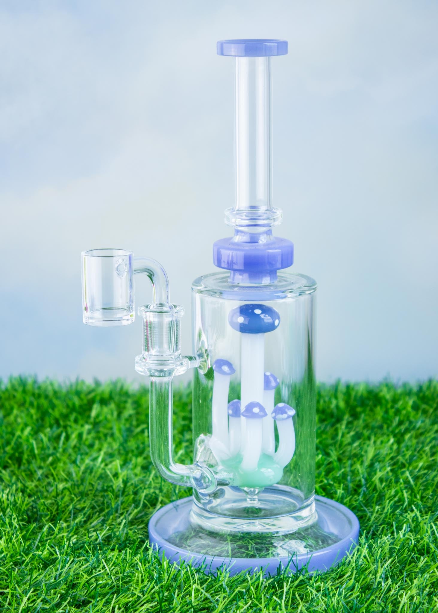 MUSHROOM TERRANIUM Bong or Rig