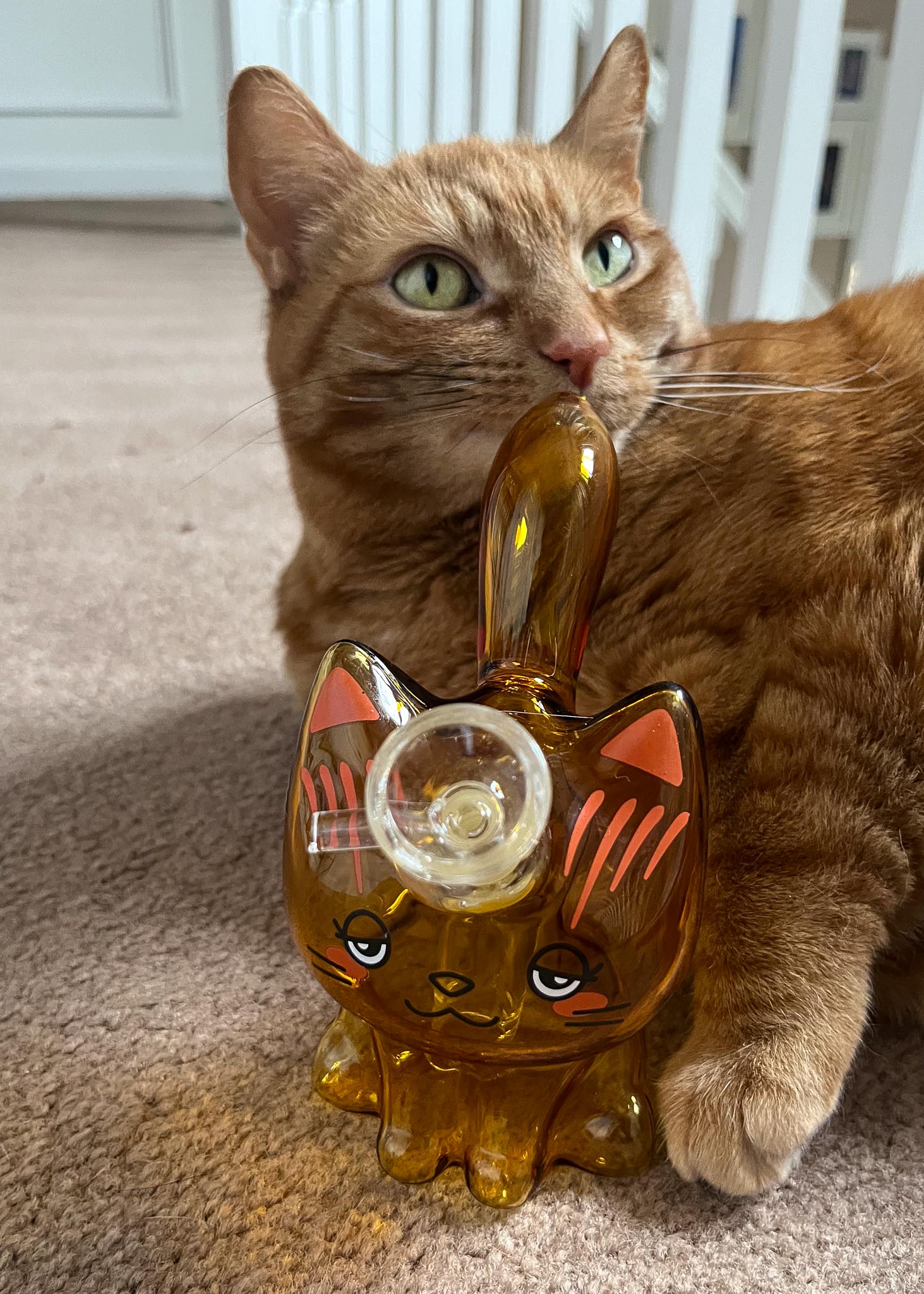 CANNACAT BUBBLER