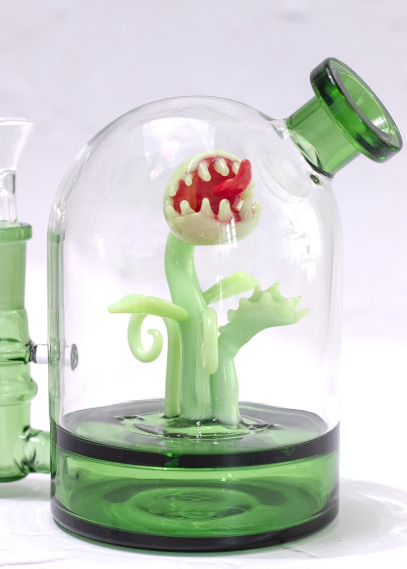 VENUS FLY TRAP CLOCHE RIG