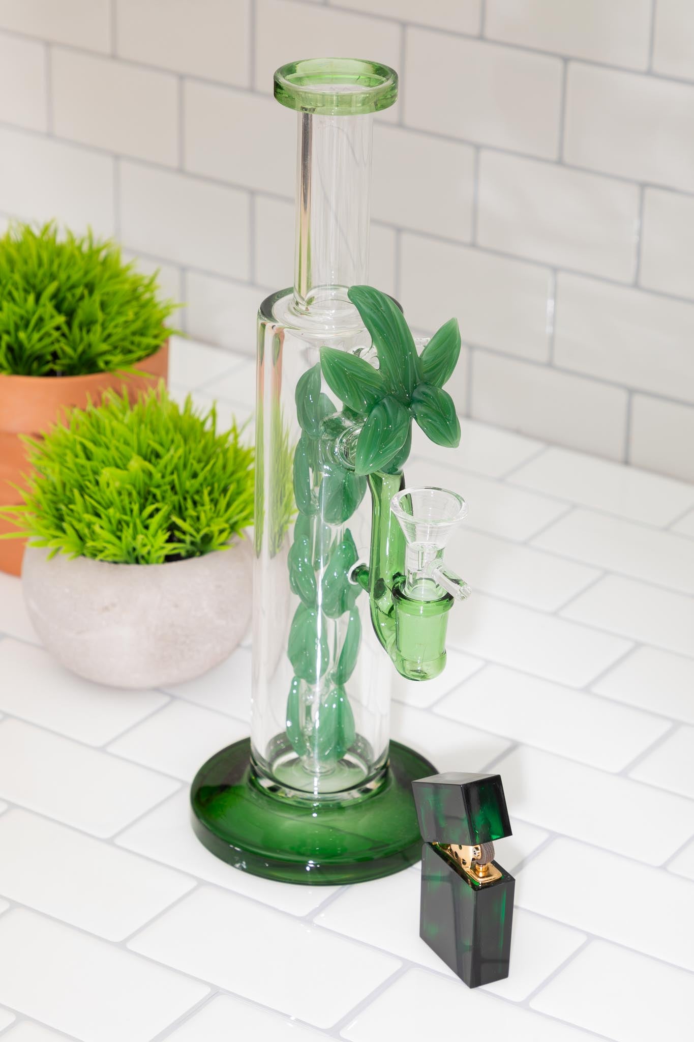 plant bong