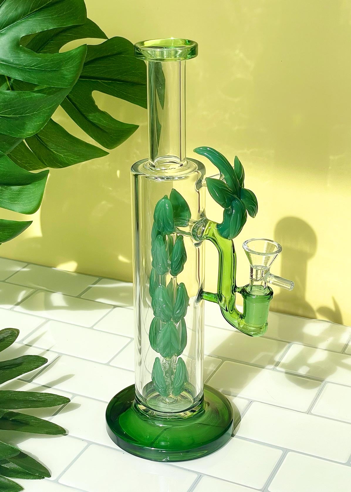 plant bong