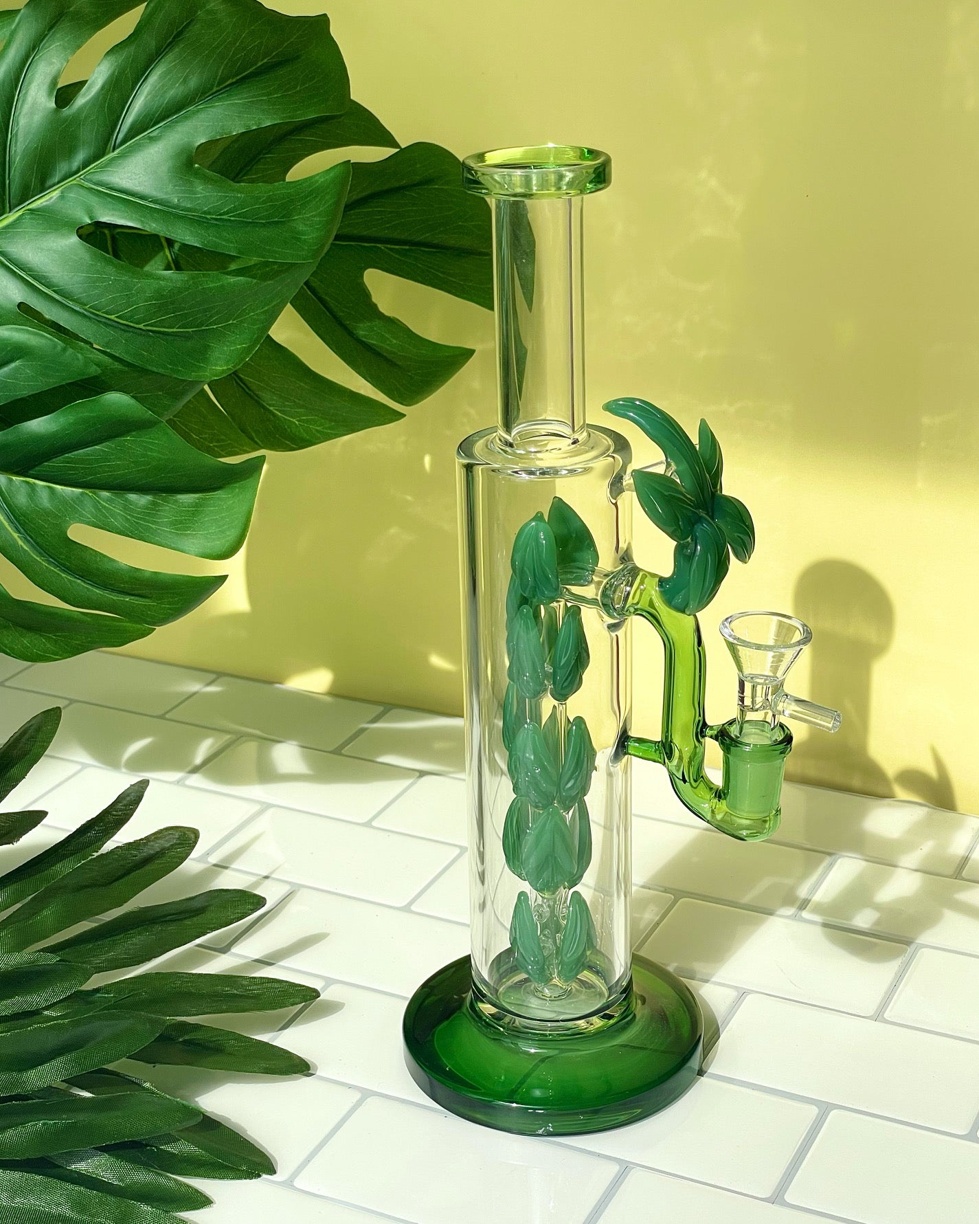 plant bong