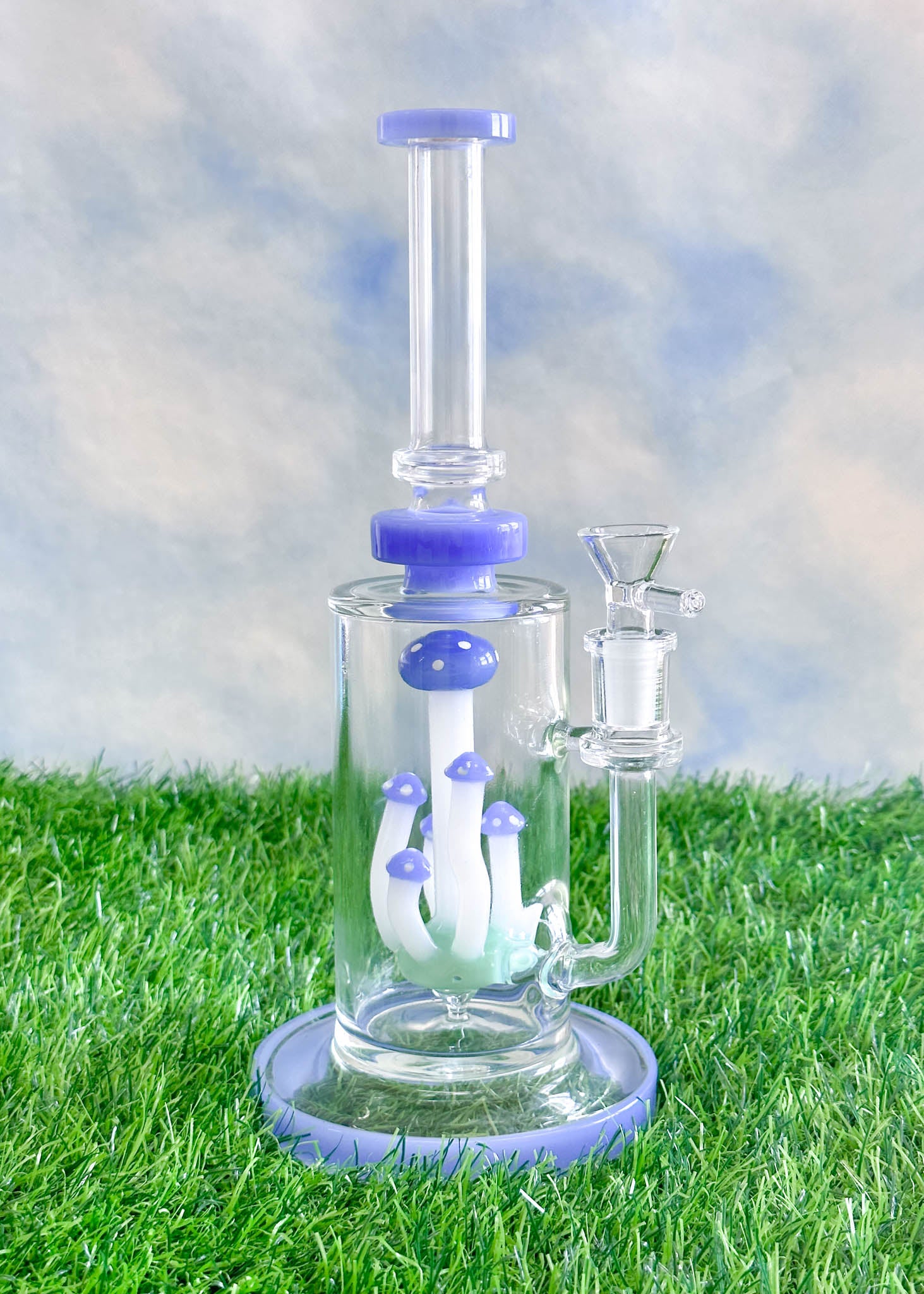 MUSHROOM TERRANIUM Bong or Rig