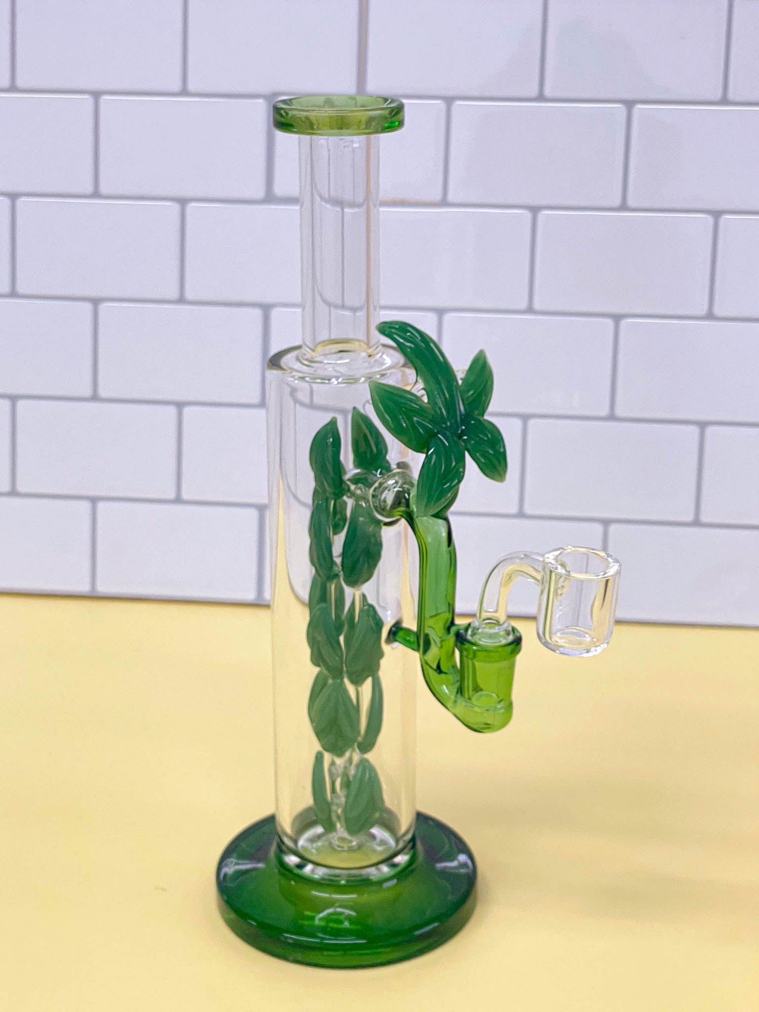 TERRANIUM PLANT Bong or Rig