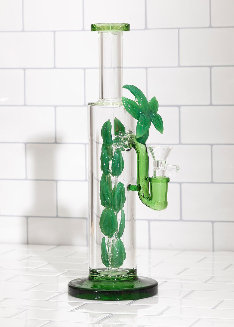 terrarium plant bong